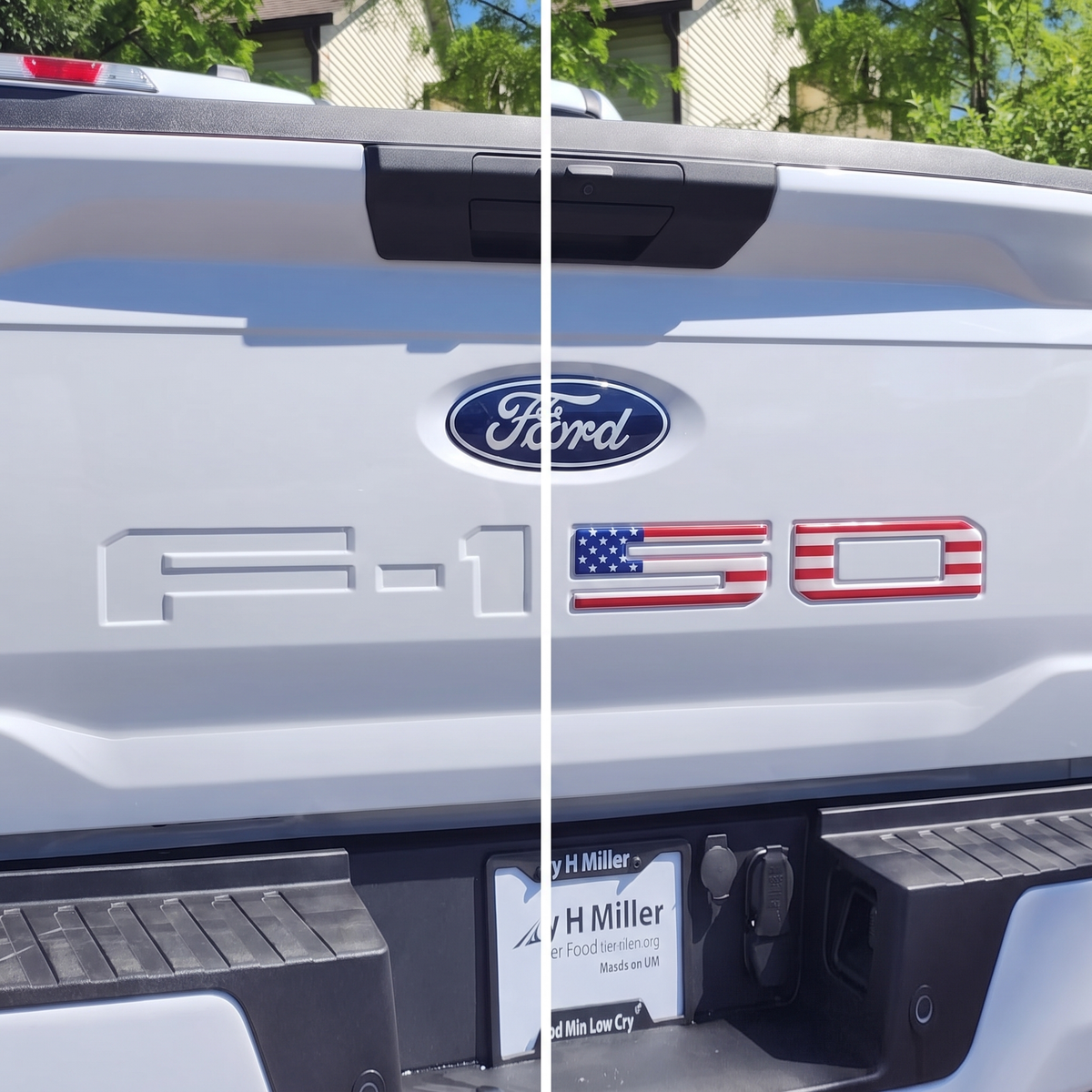 F-150 Tailgate Letter Inserts — American Flag (2018–2025)